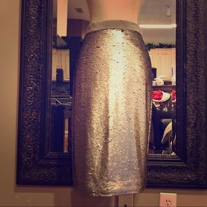 Silver Sequins pencil skirt- NWT